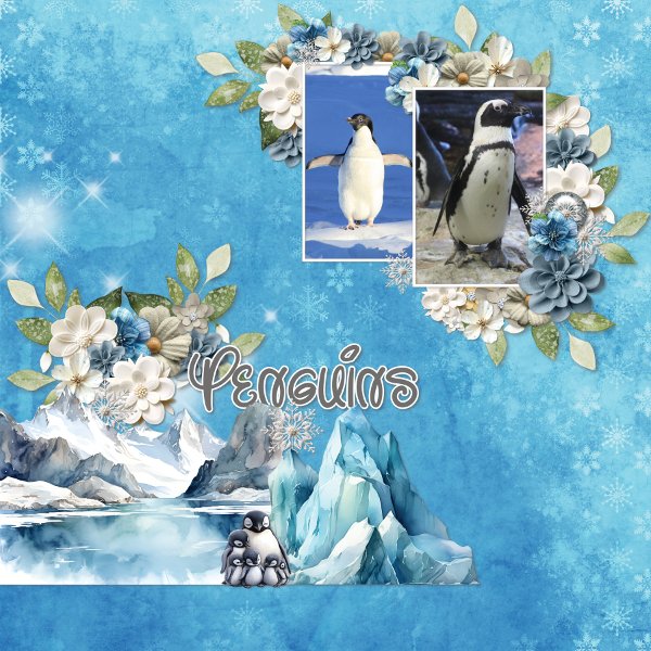 Penguin parade.jpg