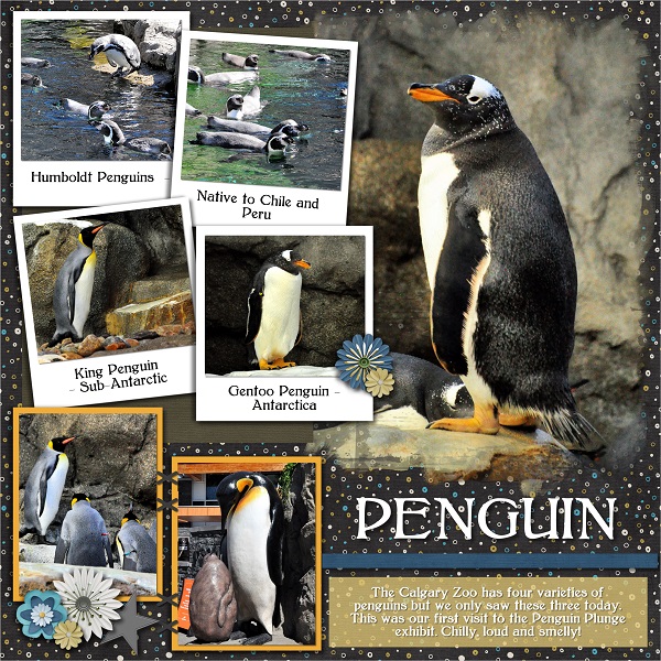 Penguin