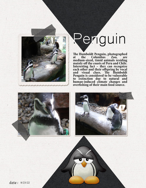 Penguin