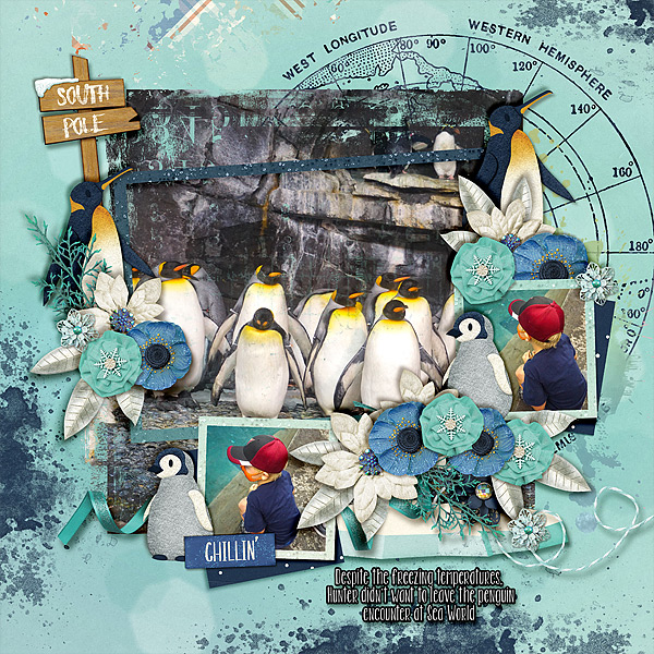 penguins-521