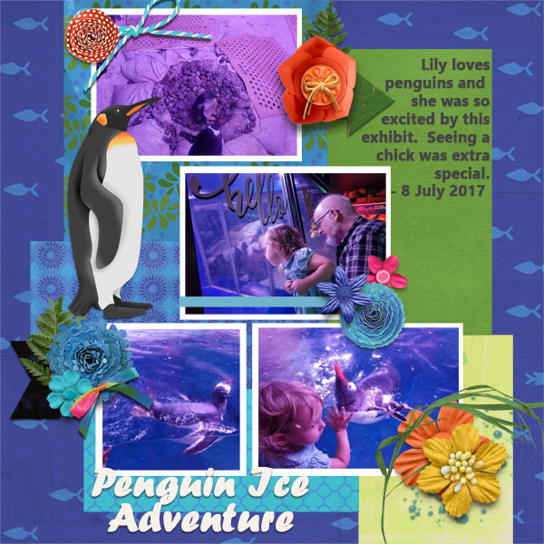 Penguins 7/13