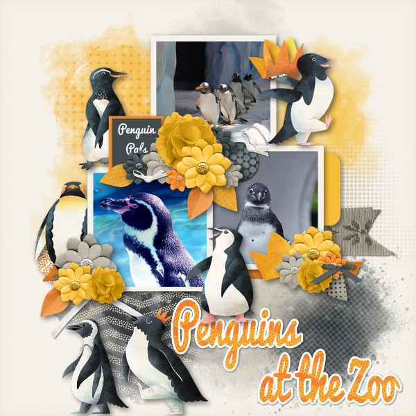 Penguins at the Zoo
