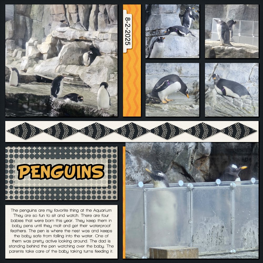 Penguins.jpg