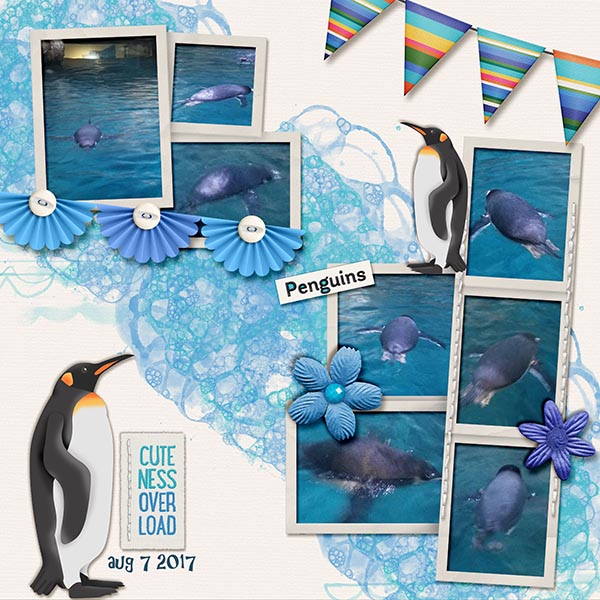 penguins
