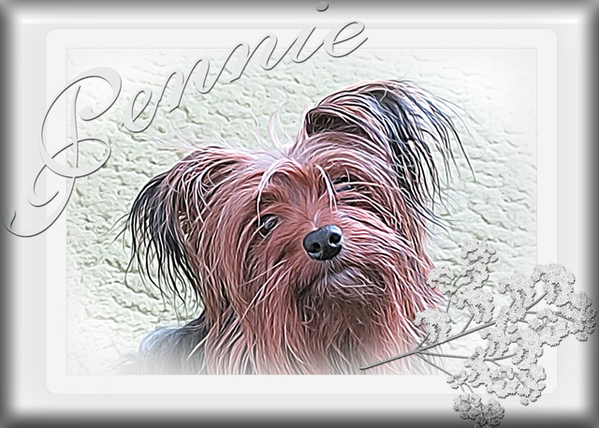 Pennie