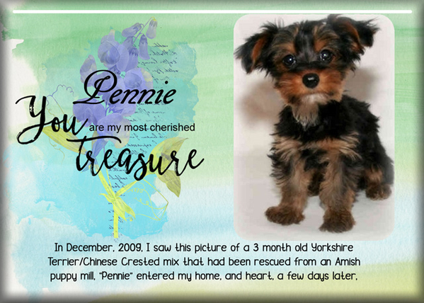 Pennie
