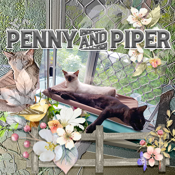 Penny and Piper