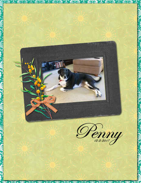 Penny