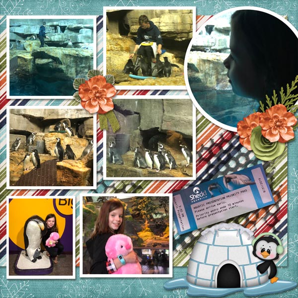 Penquin_Encounter_R