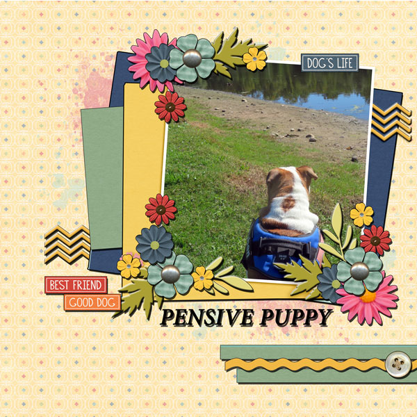 Pensive Puppy