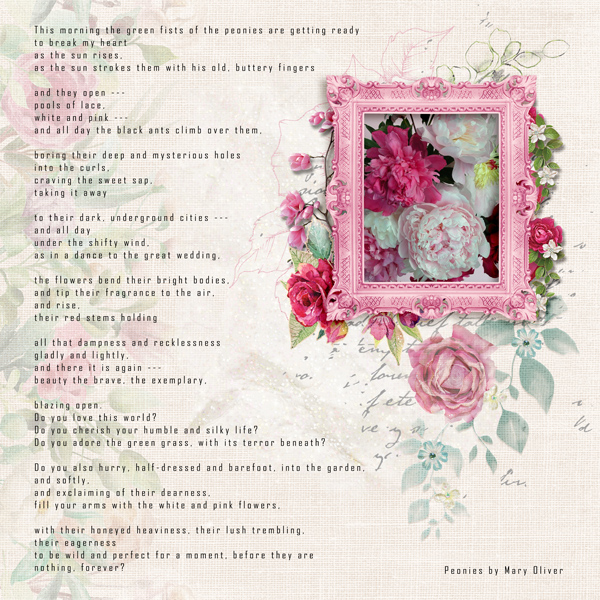 Peonies by Mary Oliver
