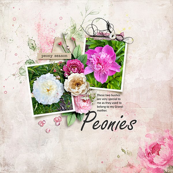 peonies.jpg