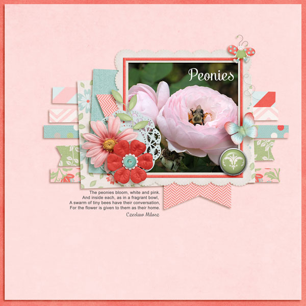 Peonies