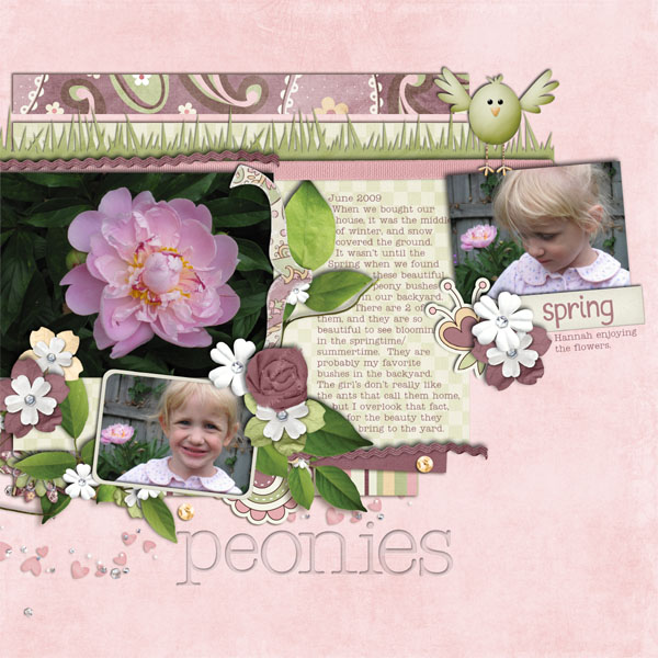 Peonies
