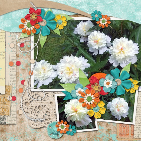 Peonies