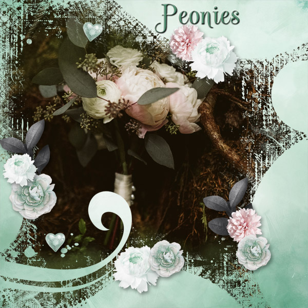 Peonies