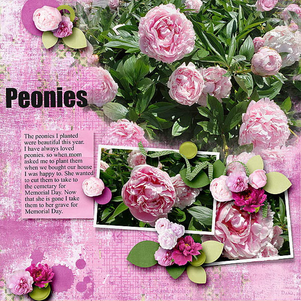 Peonies