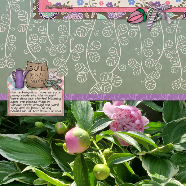 Peonies