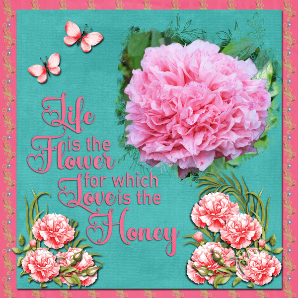 Peonies