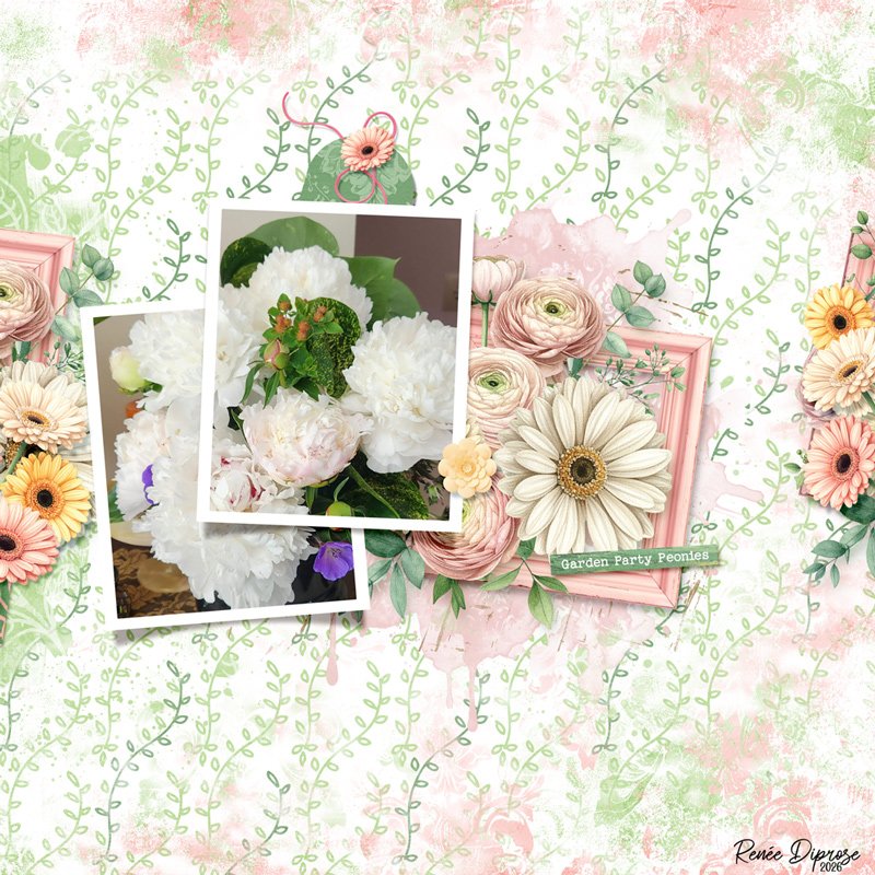 Peonies