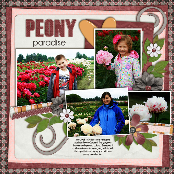 Peony Paradise