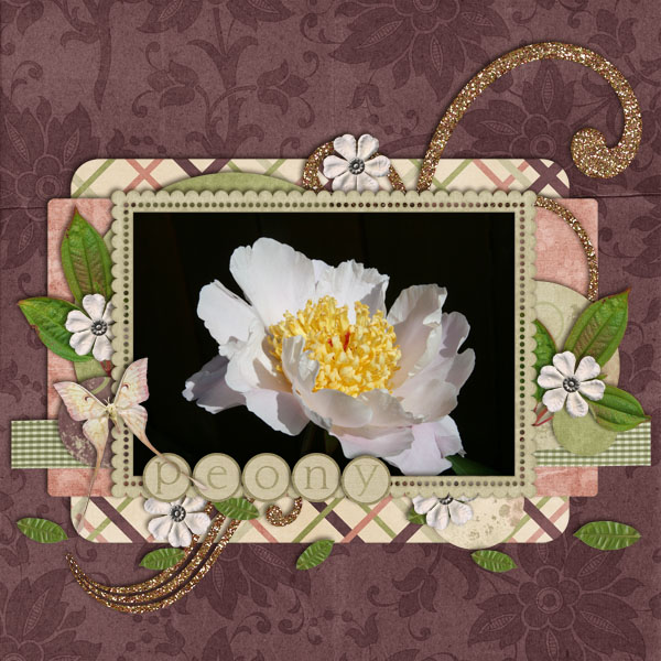 Peony
