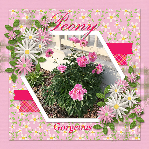 Peony