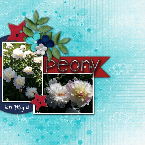 Peony