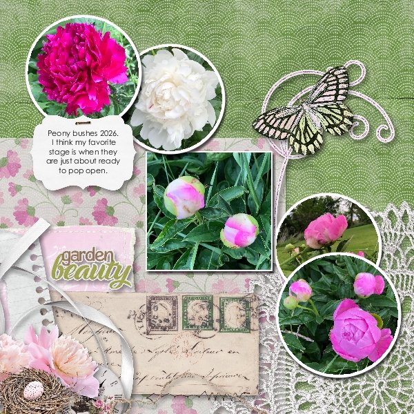 Peony