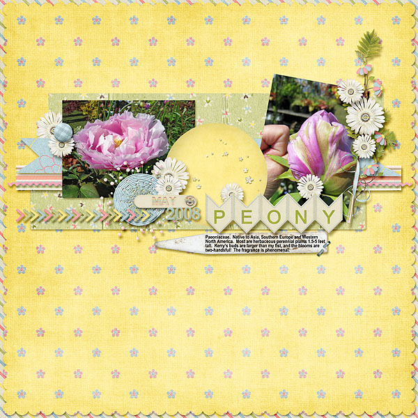 Peony