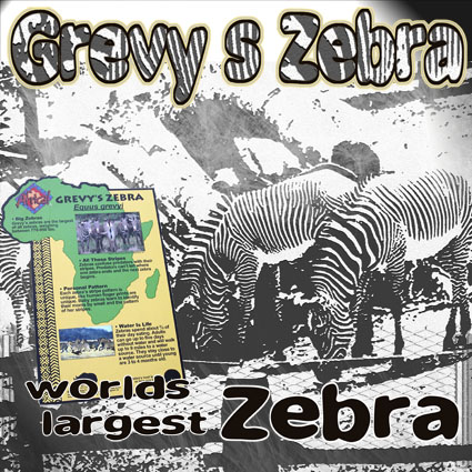 Peoria Zoo pages