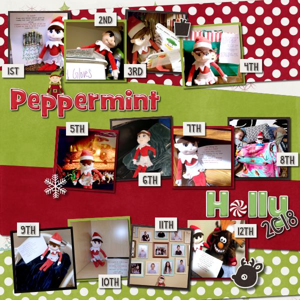Peppermint Holly