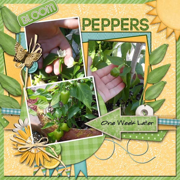 Peppers