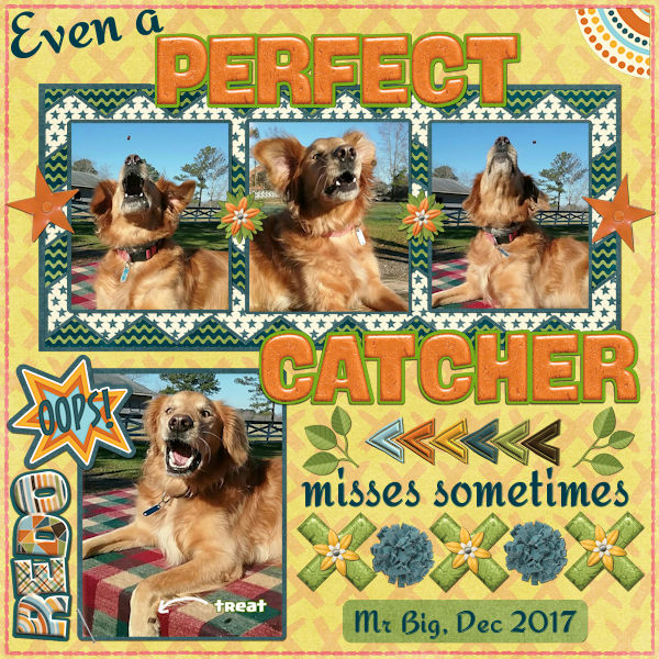 Perfect Catcher