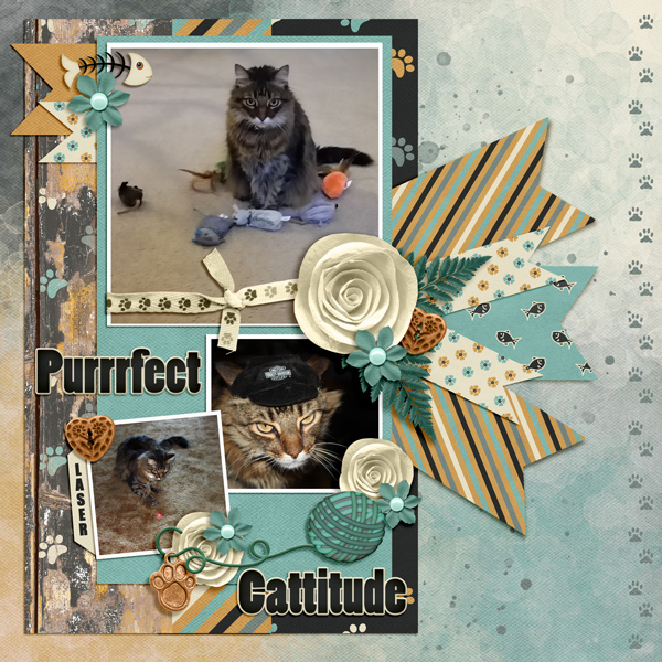 Perfect Cattitude