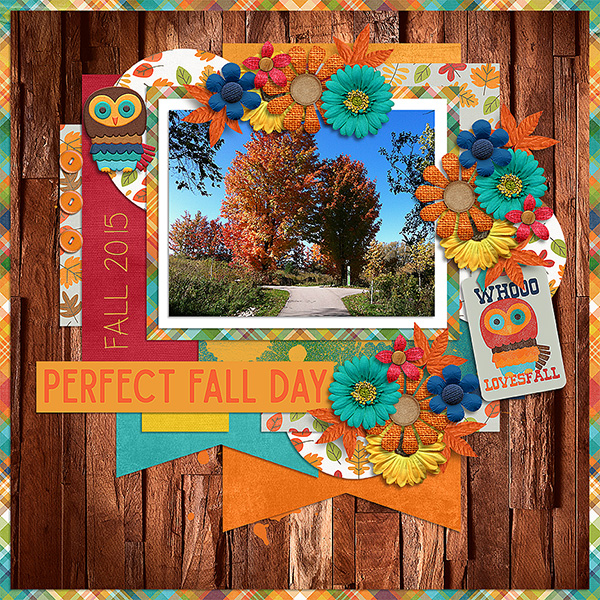 Perfect Fall Day