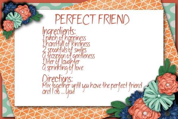 Perfect Friend