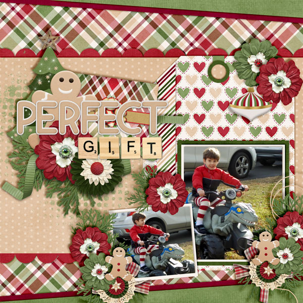 Perfect-Gift1