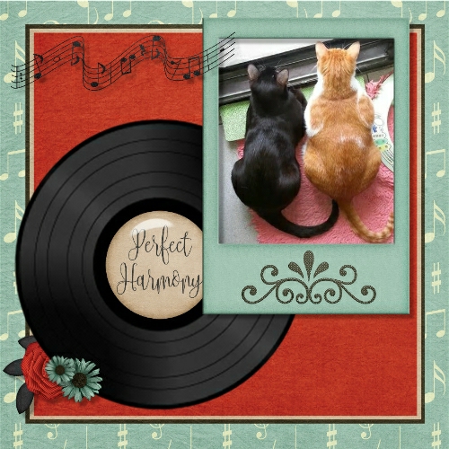 Perfect Harmony