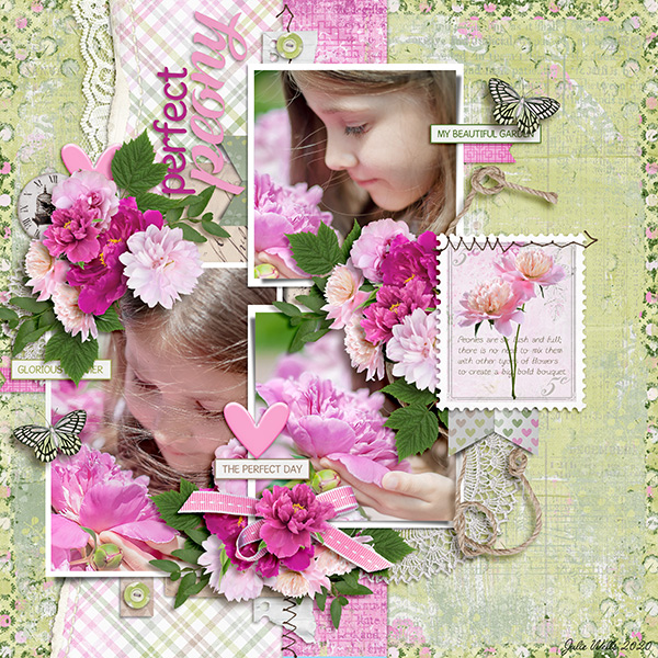perfect peony