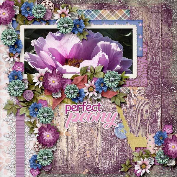 Perfect Peony
