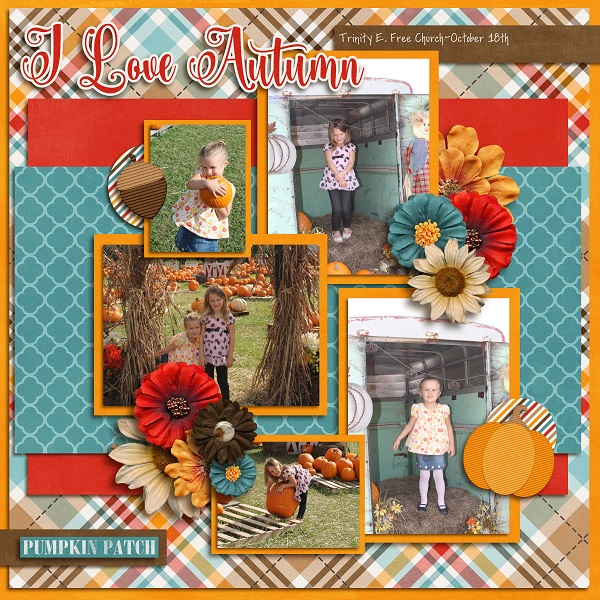 Perfect Pumpkin Patch