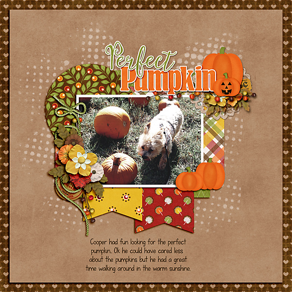 Perfect Pumpkin