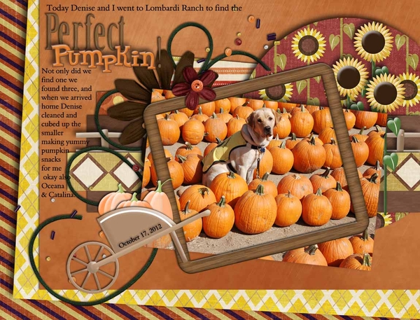 Perfect Pumpkin