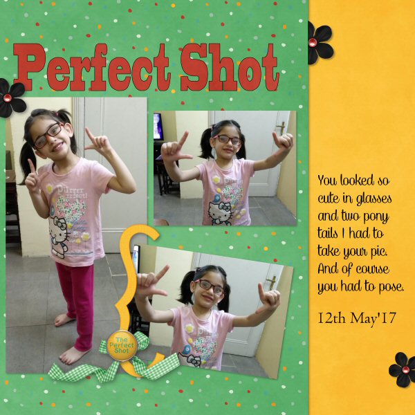 Perfect Shot