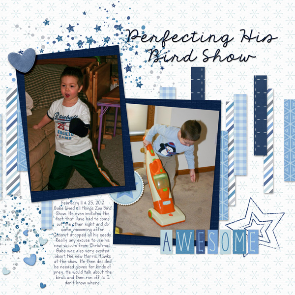 Perfecting in Bird Show