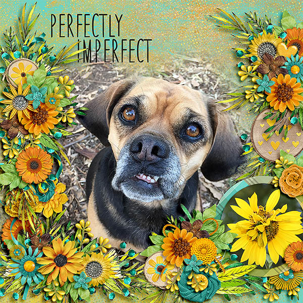 perfectly imperfect
