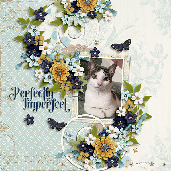perfectly imperfect