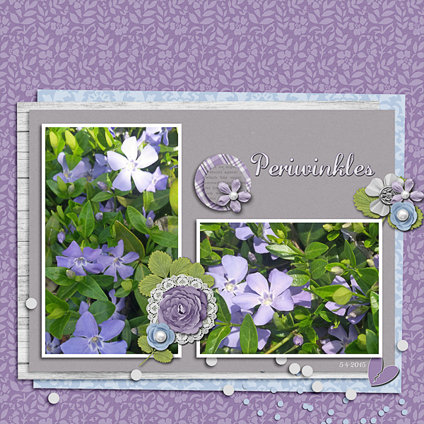 Periwinkles