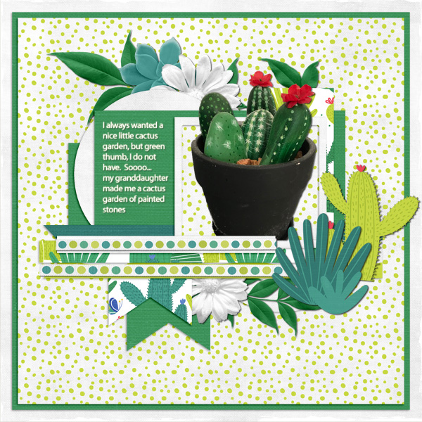 Personal Cactus Garden